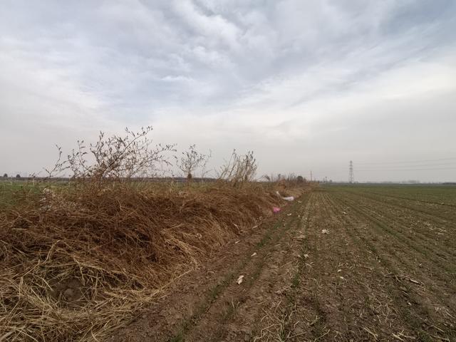 探秘辛集百福村，旧河道古寨沟，双二七惨案，这香村历史，真硬核