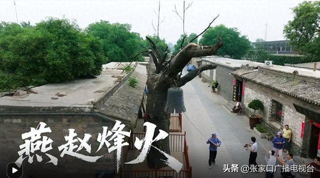 《燕赵烽火》第3集：大地觉醒