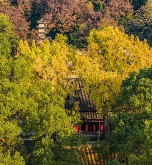 太仙了！美到巅峰！这个周末，又要人人人啦~