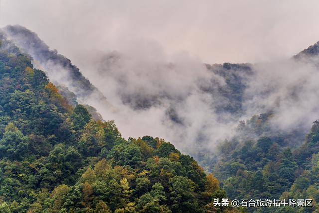 深秋牯牛降：携家共赴的诗意
