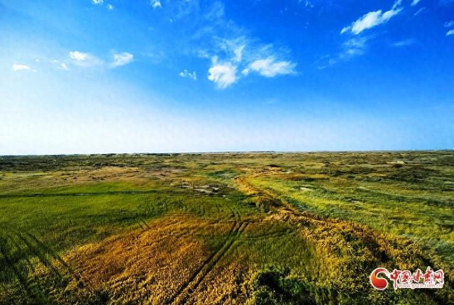 祁连山下是我家丨嘉峪关草湖湿地：从荒漠到生态绿洲的秀美变迁