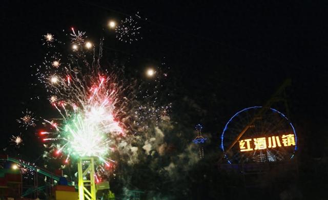 水陆双园联动解锁新体验 第九届重庆啤酒嘉年华开启“全域夜游”模式