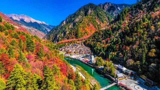 2025黑水彩林巅峰期实况：这6个隐秘机位让朋友圈求定位