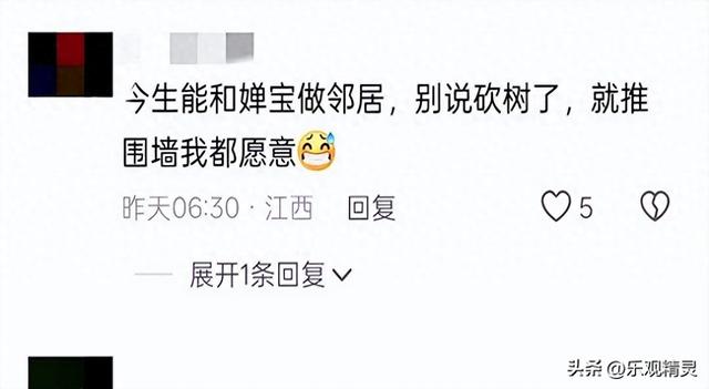 全红婵建房最新进展！邻居需求太苛刻，律师出狠招！婵宝有麻烦？