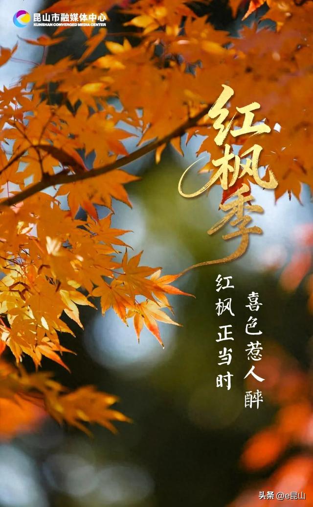 久等了！红透啦！