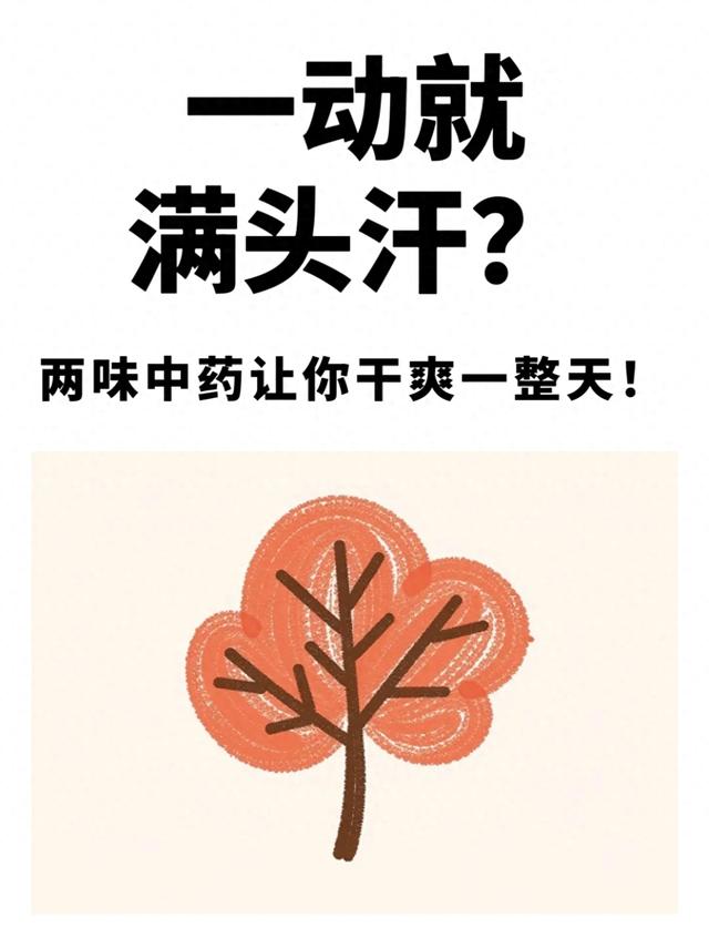 一动就满头汗？两味中药让你干爽一整天！