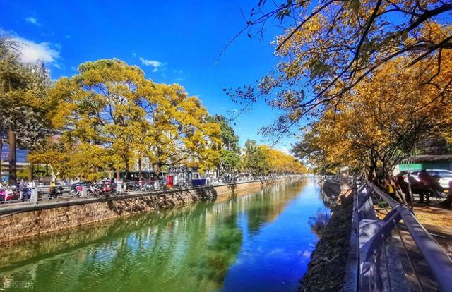 昆明真糊涂啊！这六个堪比 AAAAA 级的景点！赏花很美赶快宣传吧！