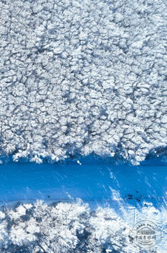 绝了！吉林的票根隐藏用法大公开