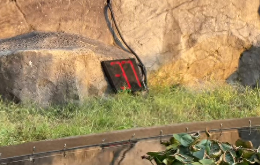 拍照限时1分钟，浙江一网红景点引热议，有人赞公平，有人觉得像考试