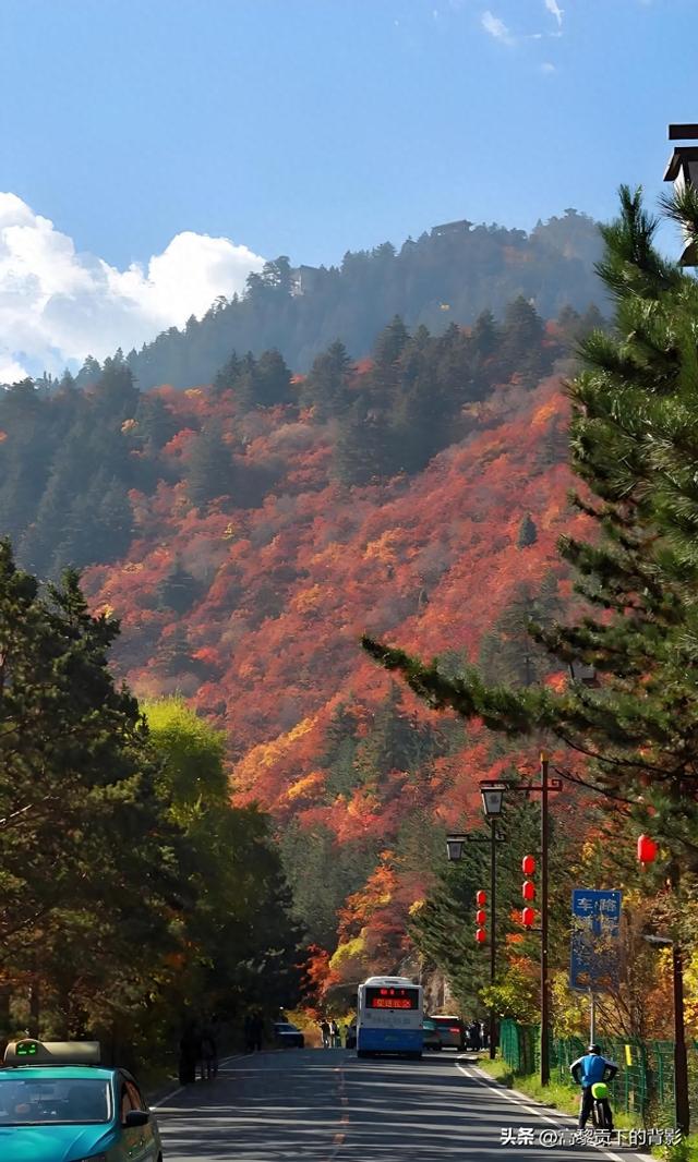 寻幽兴隆山：陇右第一名山的秋日私语