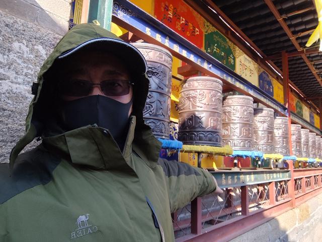 打卡[玫瑰]内蒙古锡林郭勒盟