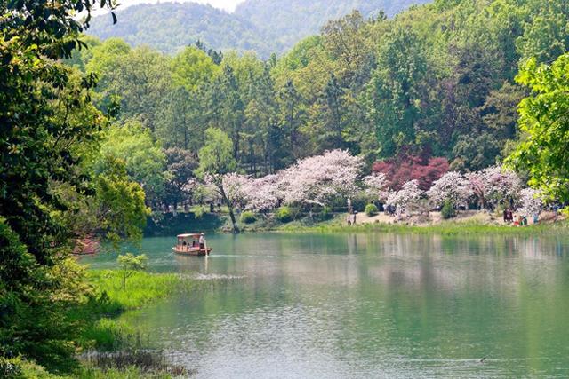 漫游杭州三日：西湖秘境、古寺禅意与运河烟火