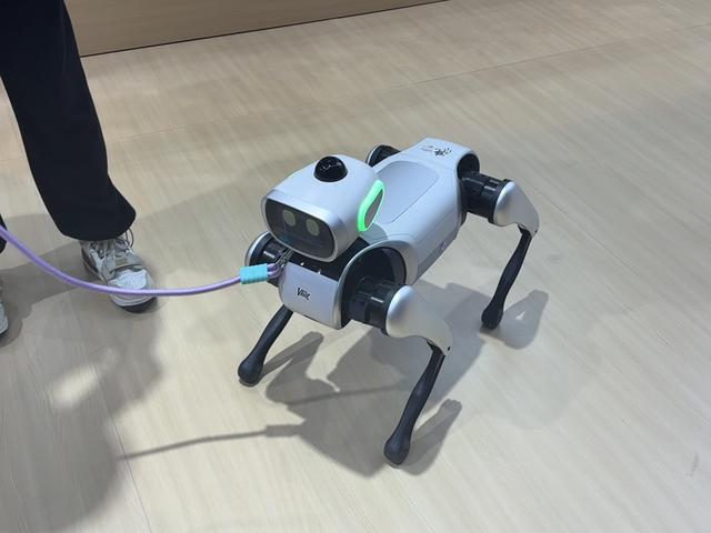 直击WRC｜机器狗全程不用遥控器，机器人1秒钟从躺平变站立