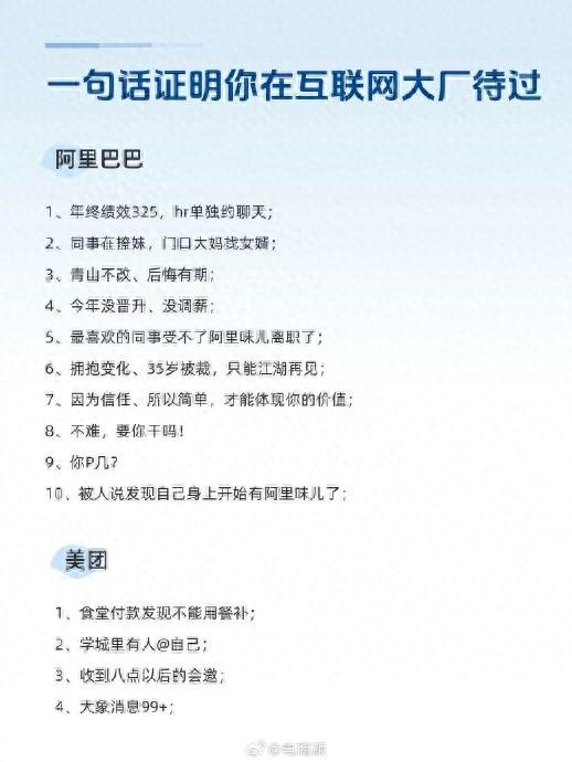 网友用一句话证明互联网大厂经历