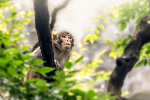 为什么说贵州是“中国最宝藏的省份”？看完这九大市州我服了