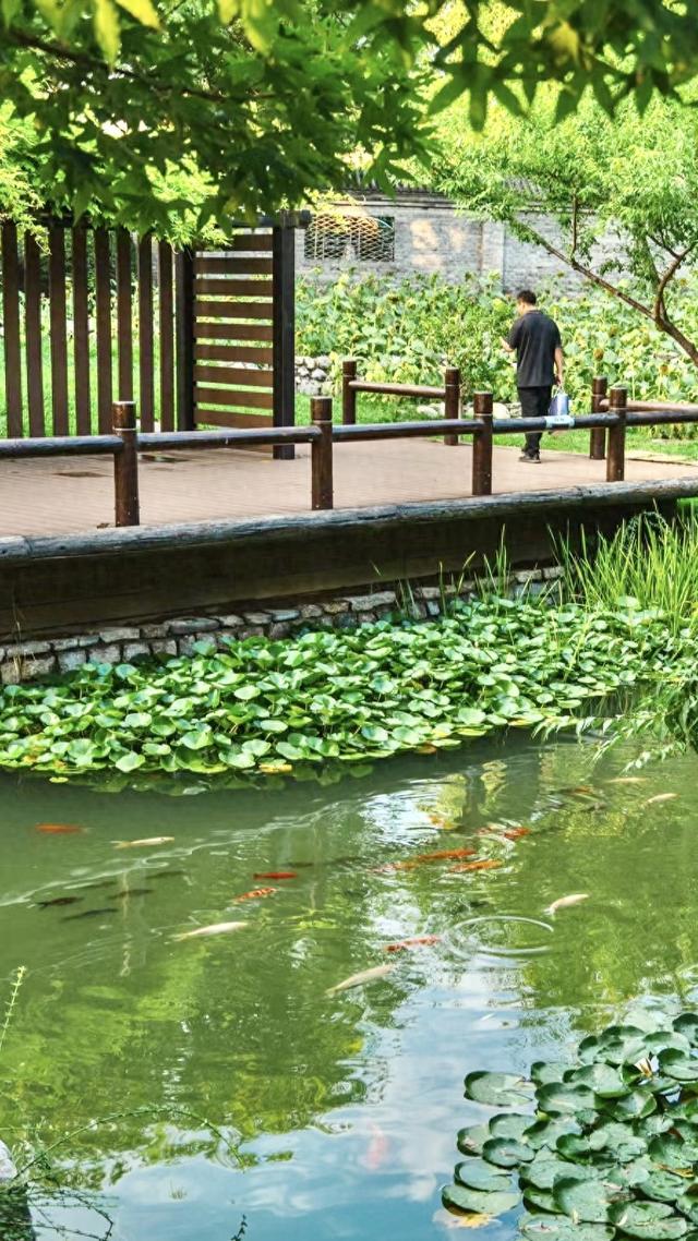 从“一时美”到“长久靓”：北京河湖为啥能让市民“常来常新”？
