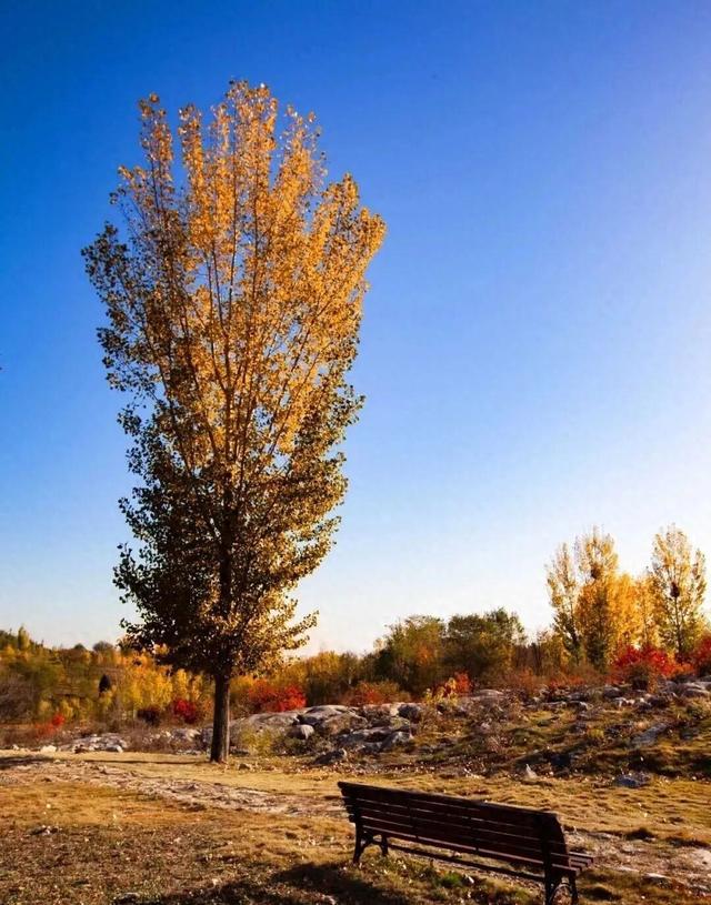 青州这些景致，藏着最动人的温柔