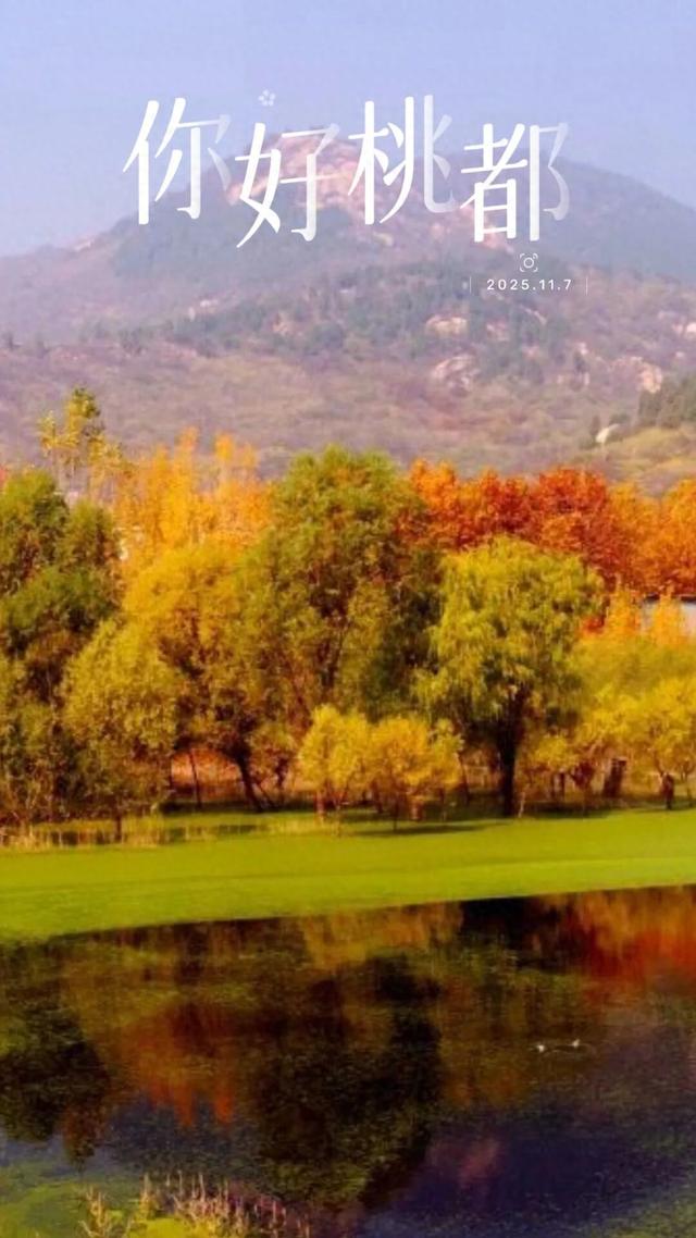 你好，桃都！『2025.11.7』