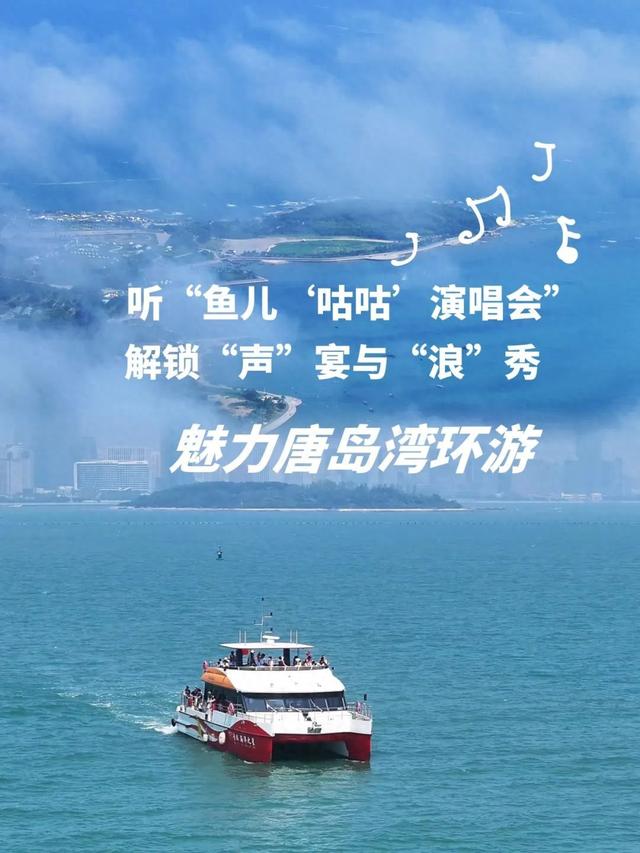 【学生票】听！七月海上有鱼在“咕咕”唱歌！解锁"声"宴与"浪"秀！