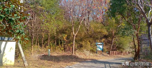 从射乌山到柏家庄