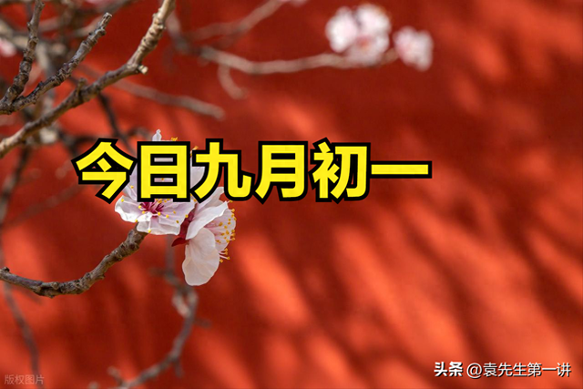 不是迷信！今日九月初一，记得：1不出、2不坐、3不泡、4不补！