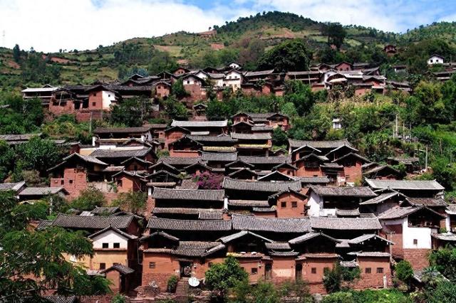 云龙，太宝藏了！