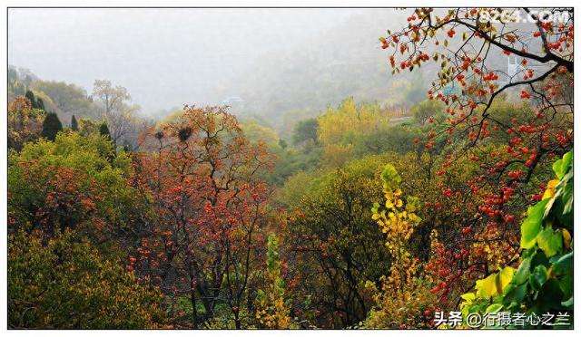 山东行游影记（193）—青州仰天山柿子沟（一）