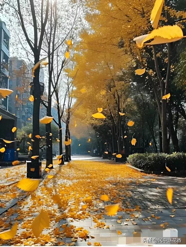 北京街头一副对联真难，19点27分了还没有高手对出精彩下联