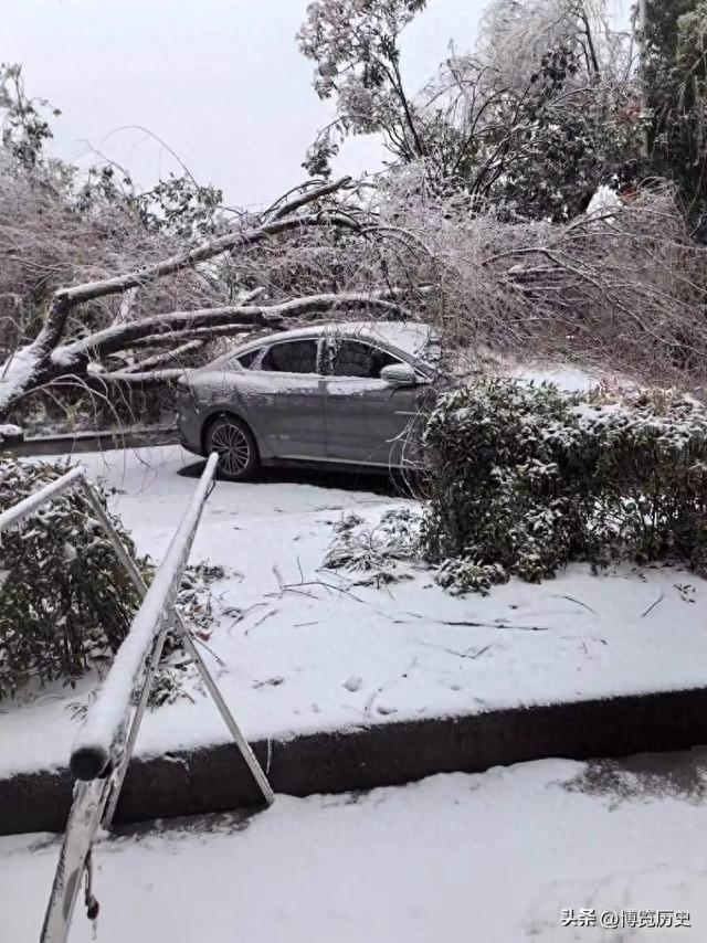 明明高铁更快，为啥还有人守着绿皮火车跑一夜，答案比你想的现实