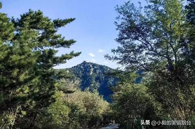 这个地方曾无人问津，如今却成烟台人最爱！周边将有多个新规划