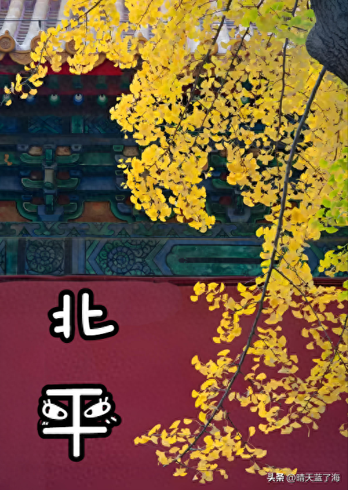 【紫禁城】红墙金叶里的皇城旧梦——故宫篇！