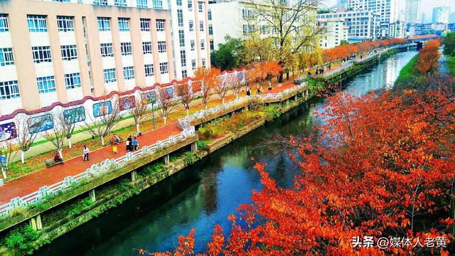 六盘水水城河道两畔初冬樱花红叶层峦叠嶂点亮城市之约