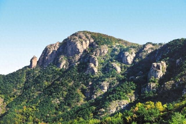 缸山观“虎”记