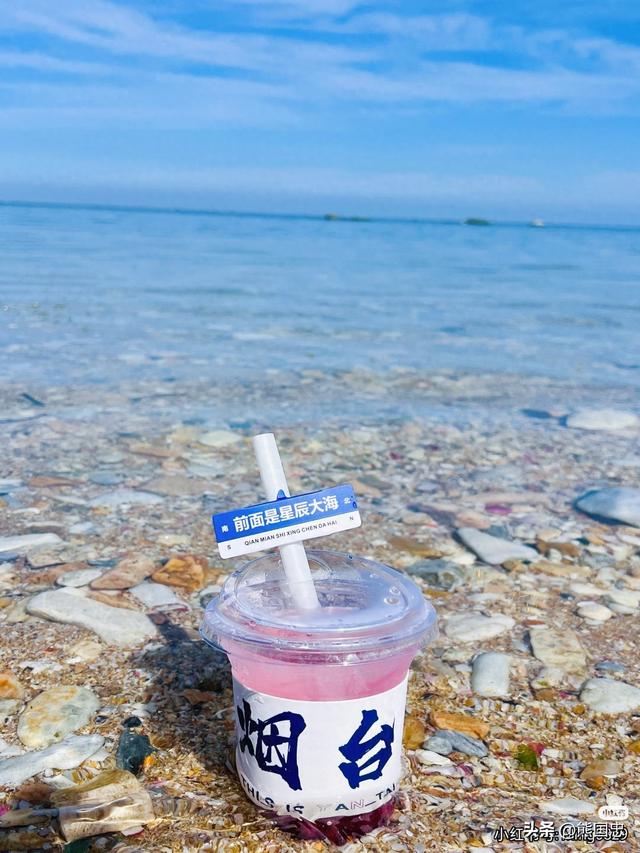 所在即为宝！烟台凭什么突然爆火？看完才懂这才是文体界的清流！