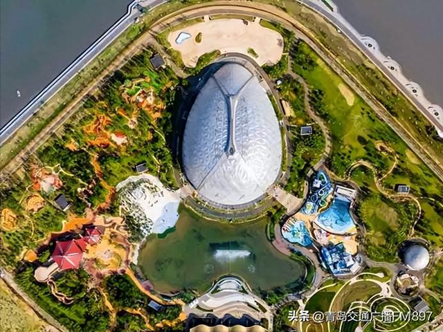 本周末两场大型音乐活动在青岛举办！乐迷专属攻略来了→