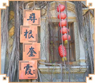 文化中国行｜福建南安石井镇奎霞村——古厝连云寄乡情