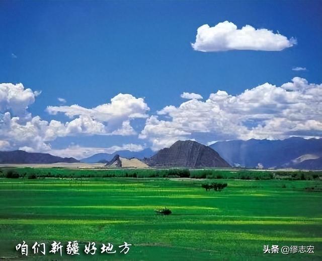 从江南到戈壁，老爸把一生献给了新疆