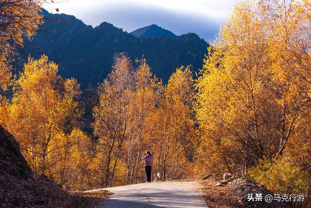 川西新通车的金川县至小金县的金小路即将成为下一条网红路
