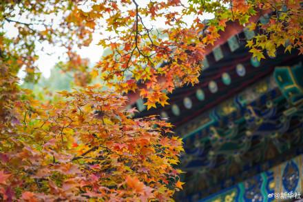 收藏！秋天是写在古都的诗篇