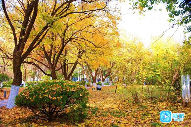 初冬，收藏一封大地写给天空的情书