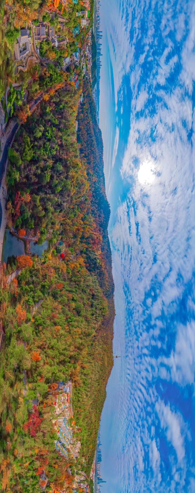 周末·美景丨太美了！一年一度，长沙人最盼望的这天来了（附攻略）