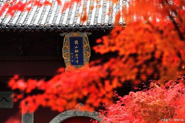 说起红叶就知道栖霞山和天平山？江南赏秋花样不要太多