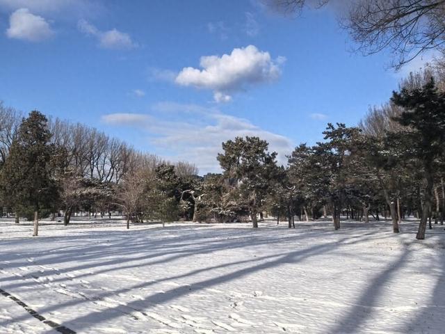 雪后二一九公园藏着治愈系美景