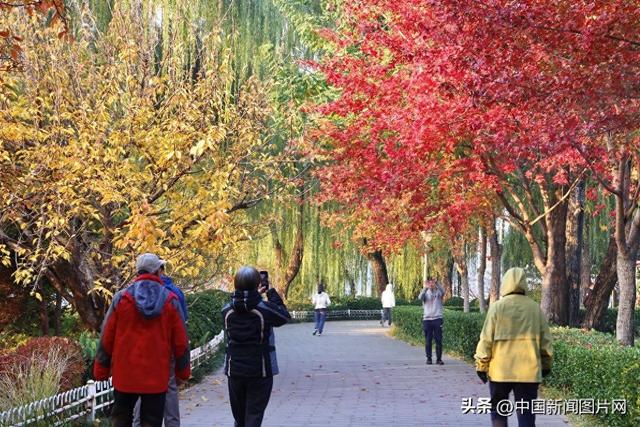 秋色正当时 玉渊潭公园推出四大网红打卡点