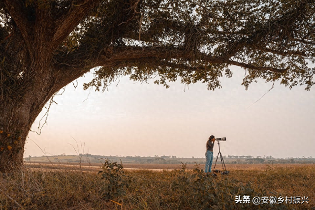 第一批抵达网红景点的游客，已被诈骗......