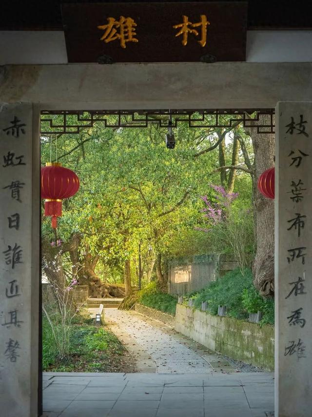黄山私藏赏桂地！在雄村，闻香、访古、沾文气……醉在徽州里