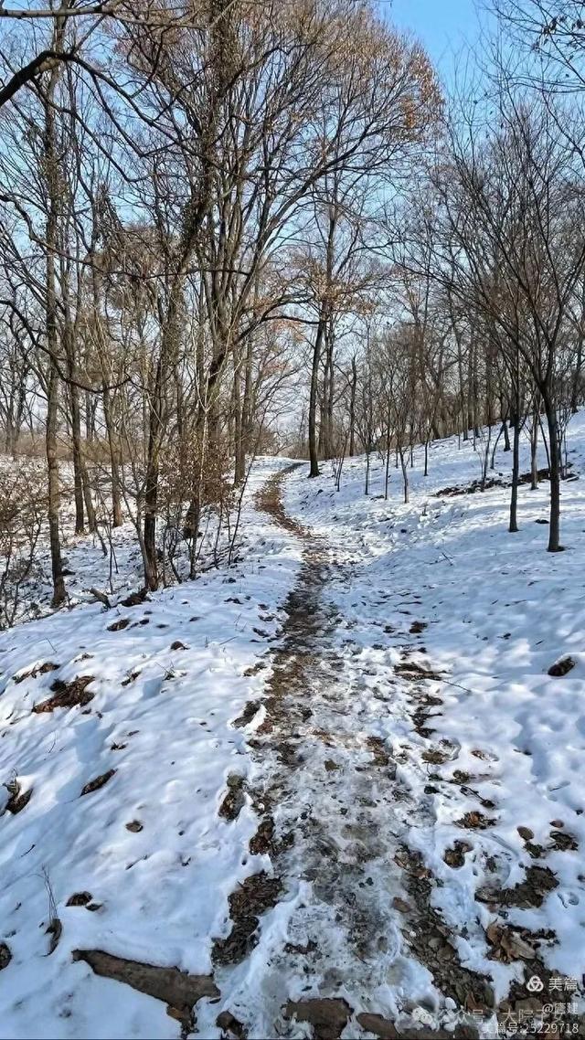 学文｜《冬日山野的美景与乐趣》