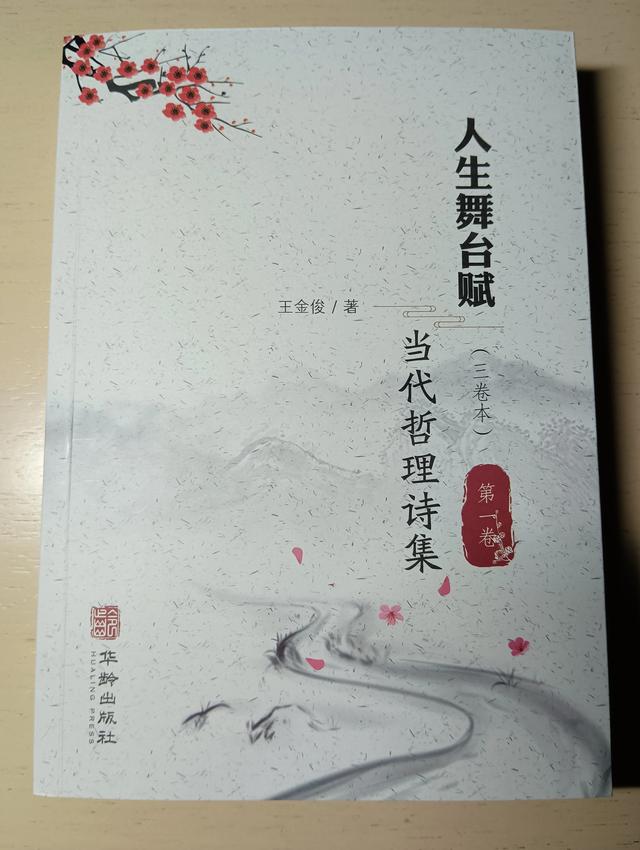 一篇读罢头飞雪,人生的斑斑点点