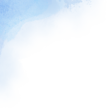 首批红嘴鸥抵达翠湖公园，游客雨中观鸥兴致不减