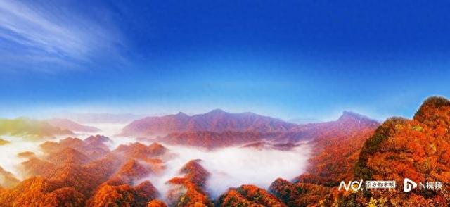 “亚洲最长红地毯”光雾山红了！广州文旅业界“赏秋”上新
